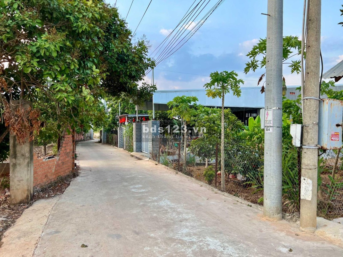 Chính chủ cần bán gấp đất nền full thổ cư gần chợ, trường học tại Thống Nhất