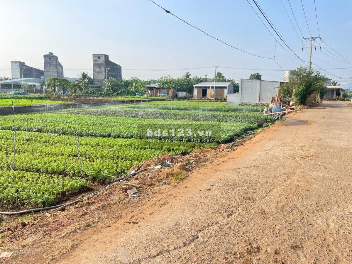 Chính chủ cần bán gấp đất nền full thổ cư gần chợ, trường học tại Thống Nhất