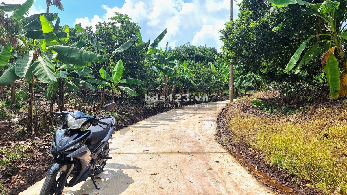 Đất nhà vườn 1000m2 chỉ từ 750 triệu tại Thống Nhất, Đồng Nai