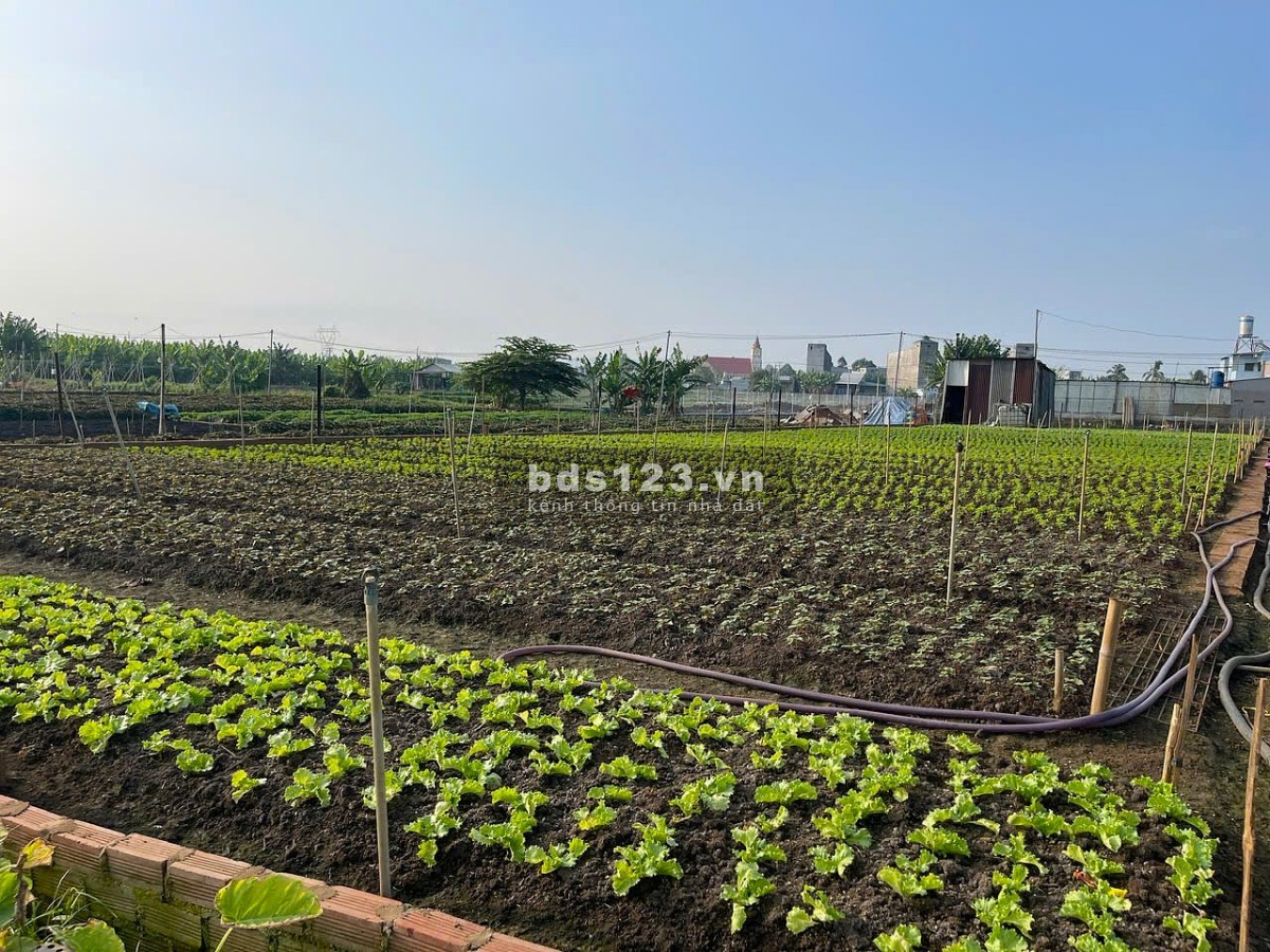 Chính chủ cần bán gấp đất nền full thổ cư gần chợ, trường học tại Thống Nhất