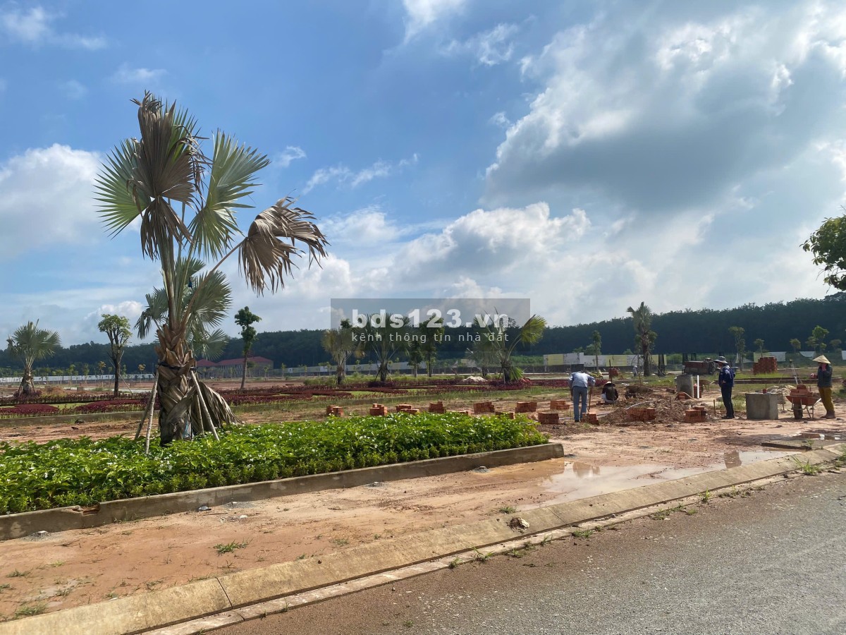 Duy nhất 2 lô cuối cùng GĐ1 dự án ALANA City cho khách hàng nhanh chân nhất