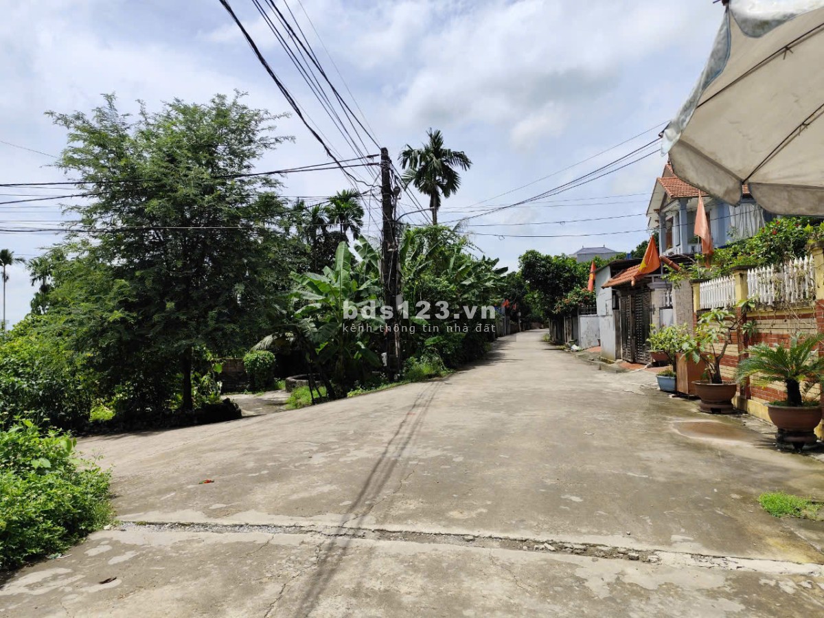 Chính chủ cần bán gấp mảnh đất 65m2 bìa,30m lưu không tại Hà Tê, xã Trung Hà, Thuỷ Nguyên, Hải Phòng