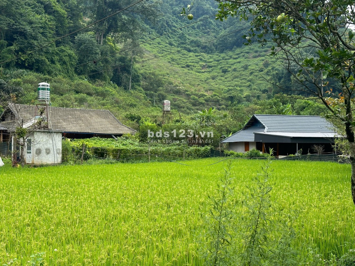 Lô đất săn mây thổ cư 400m2 thị trấn nông trường mộc châu