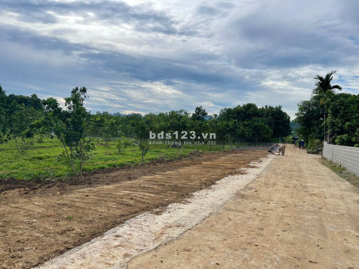 185m2 vị trí siêu hot giáp KCN Bảo Hiệu quy 560ha với số vốn chỉ hơn 200 triệu sẵn sổ hồng cất két