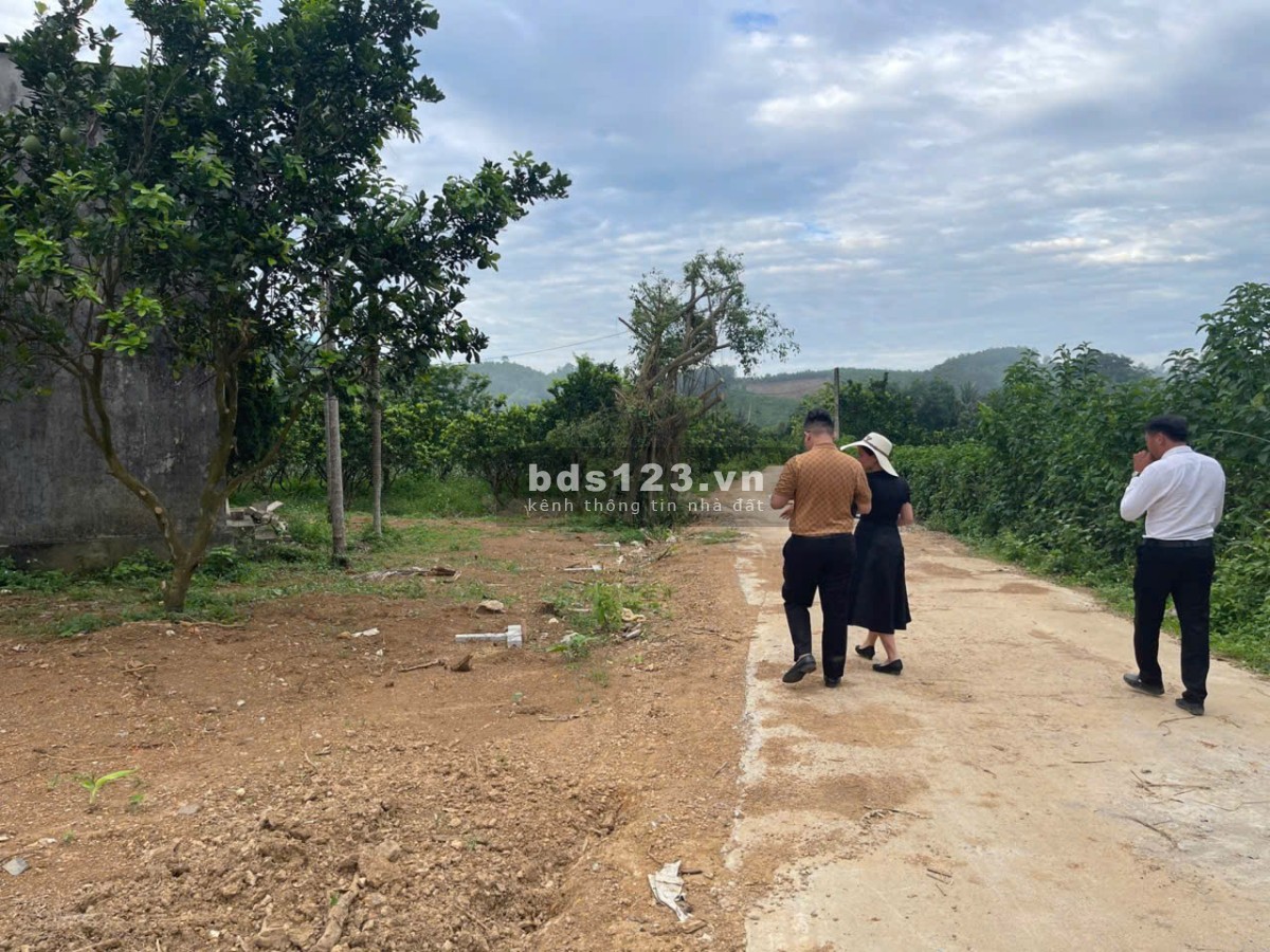 Nhanh tay sở hữu lô đất liền kề 174m2 chỉ với 180 triệu/lô đất tại yên Thủy, Hòa Bình