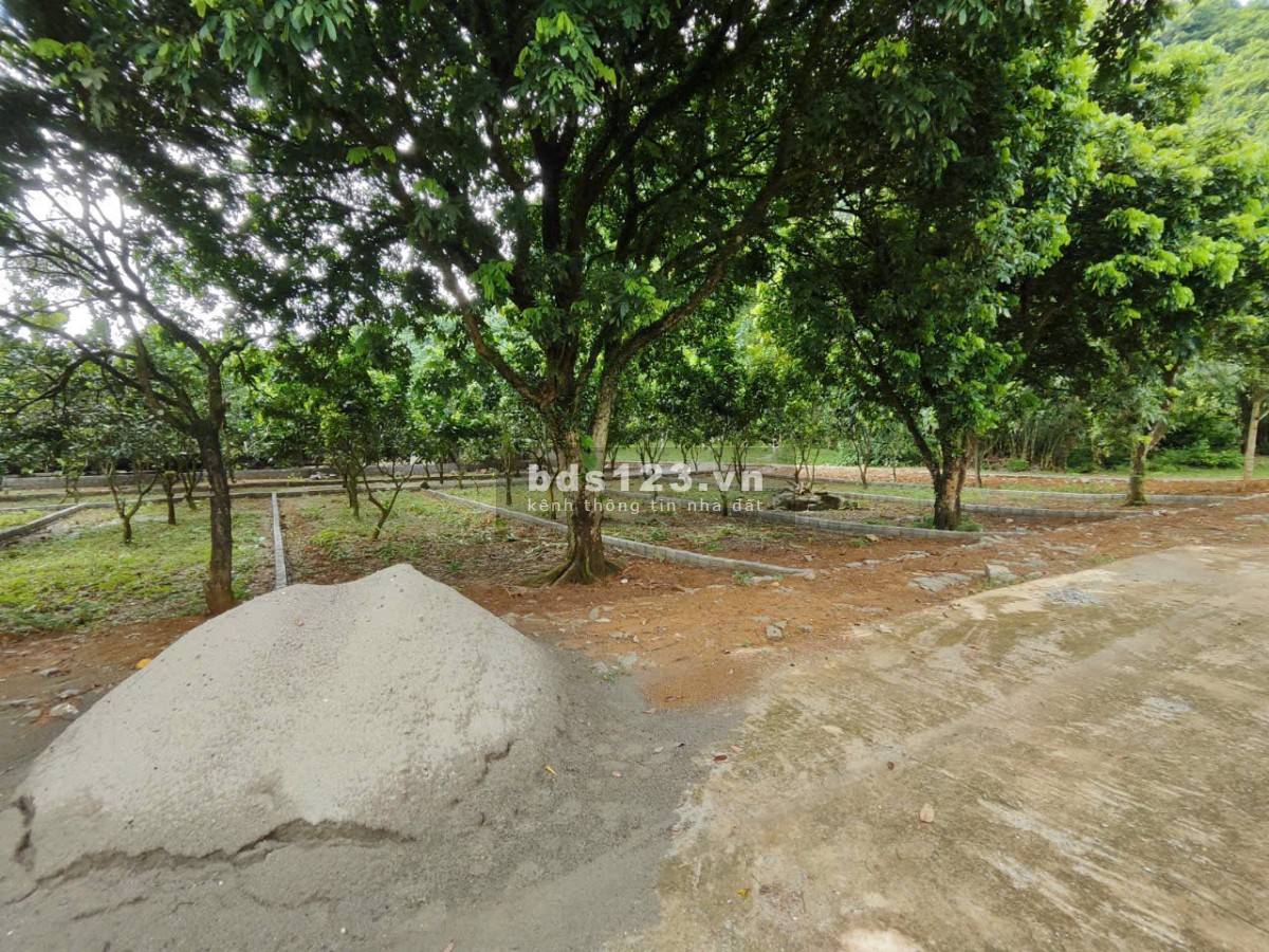 Bán đất liền kề gần TT Hàng Trạm giá 195trieu/lô 110m đường 6m cách QL12B chỉ 300m bao sổ hồng