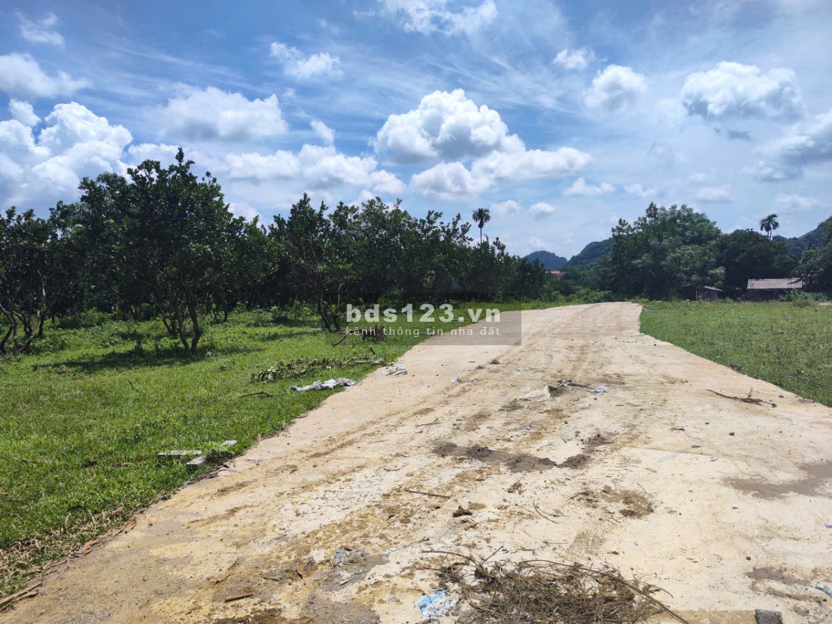 Chỉ 175 triệu sở hữu lô đất liền kề 155m sổ hồng tại Yên Thủy, Hòa Bình