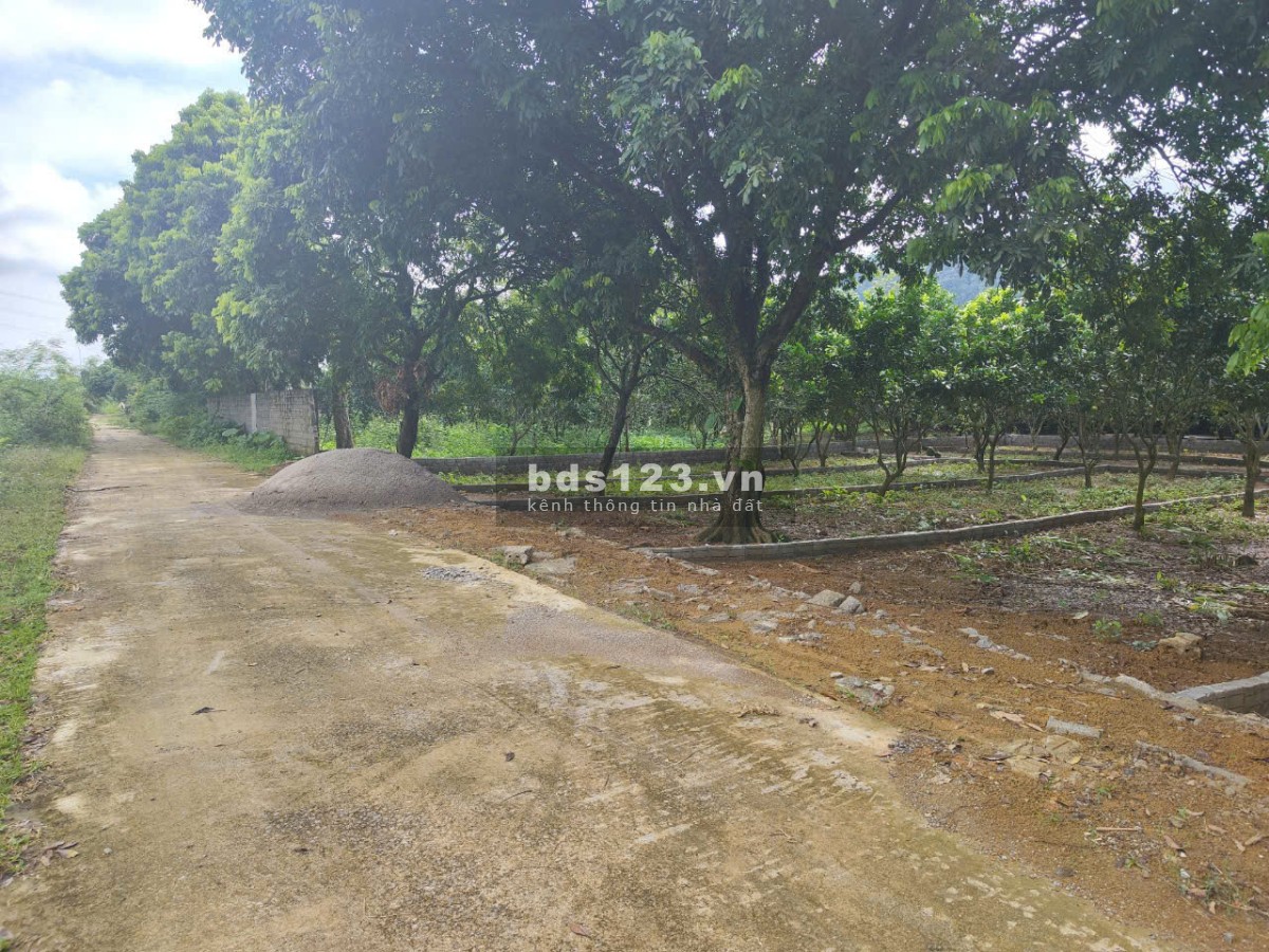 Đất Liền kề chỉ 235 triệu sở hữu lô dất 174m2 mặt tiền 7m gần khu đô thị XanhTT Hàng Trạm yên Thủy
