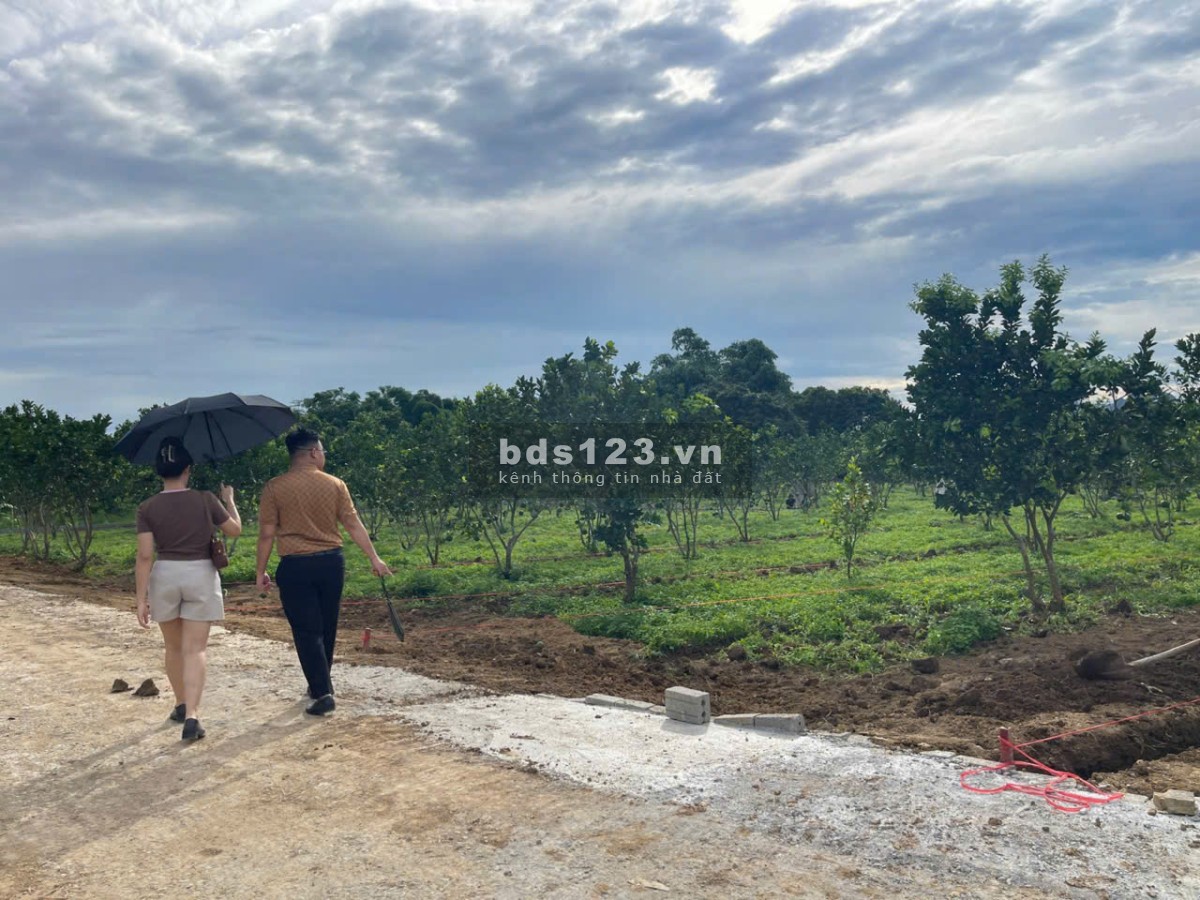 Cơ hội sở hữu, đầu tư Đất nền giá chỉ từ 2XXtr - 5XXtr tại Bảo Hiệu, Yên Thủy, Hòa Bình