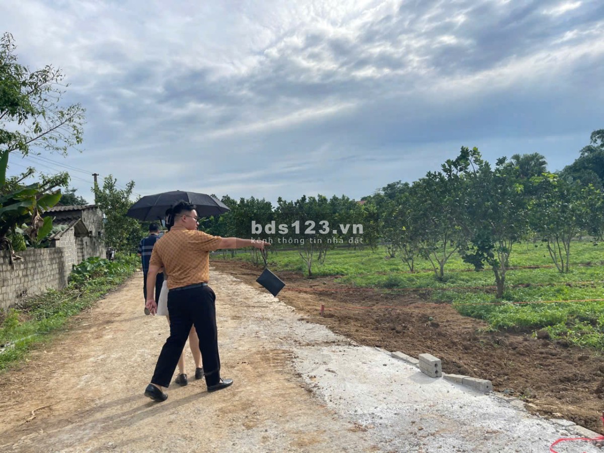Cơ hội sở hữu, đầu tư Đất nền giá chỉ từ 2XXtr - 5XXtr tại Bảo Hiệu, Yên Thủy, Hòa Bình