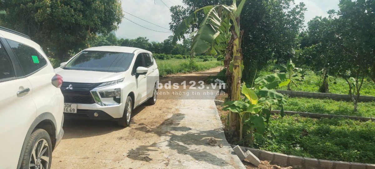 Cơ hội sở hữu, đầu tư Đất nền giá chỉ từ 2XXtr - 5XXtr tại Bảo Hiệu, Yên Thủy, Hòa Bình