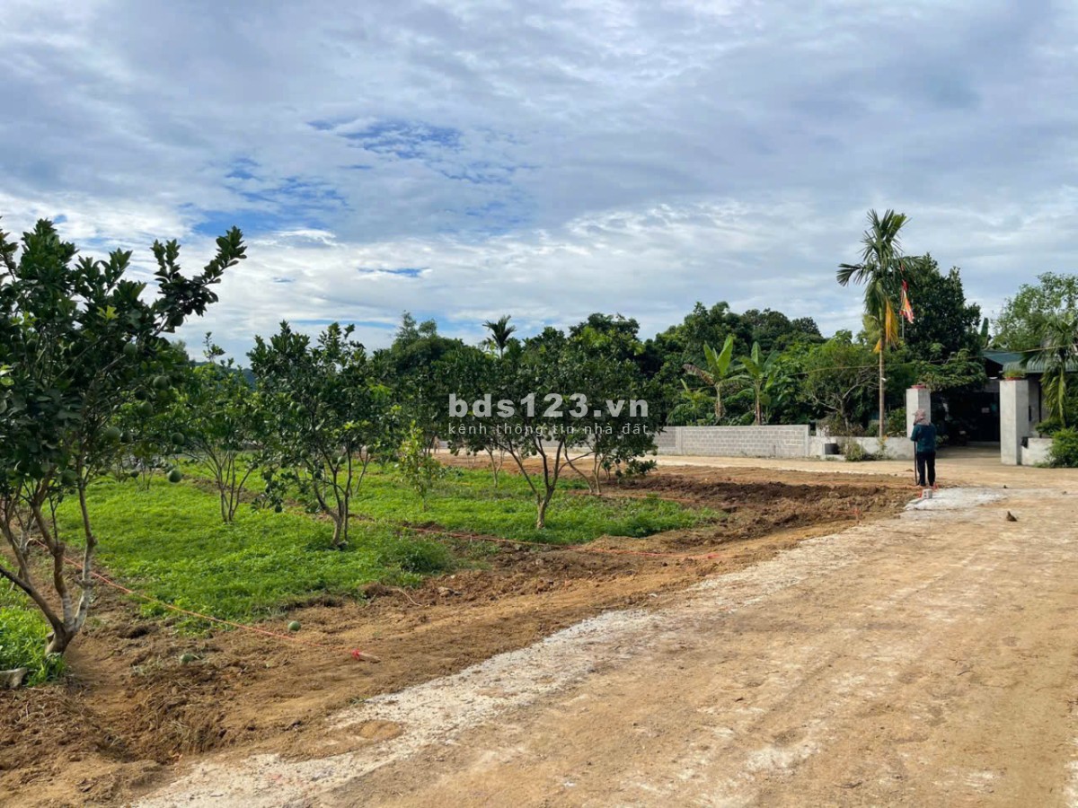 Cơ hội sở hữu, đầu tư Đất nền giá chỉ từ 2XXtr - 5XXtr tại Bảo Hiệu, Yên Thủy, Hòa Bình