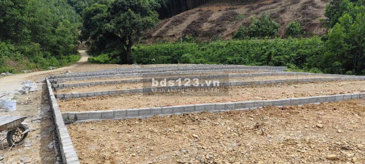 Cơ hội sở hữu, đầu tư Đất nền giá chỉ từ 125tr - 145tr tại Lạc Hưng, Bảo Hiệu, Yên Thủy