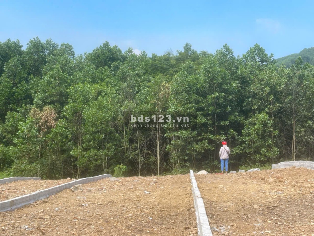 Cơ hội sở hữu, đầu tư Đất nền giá chỉ từ 125tr - 145tr tại Lạc Hưng, Bảo Hiệu, Yên Thủy