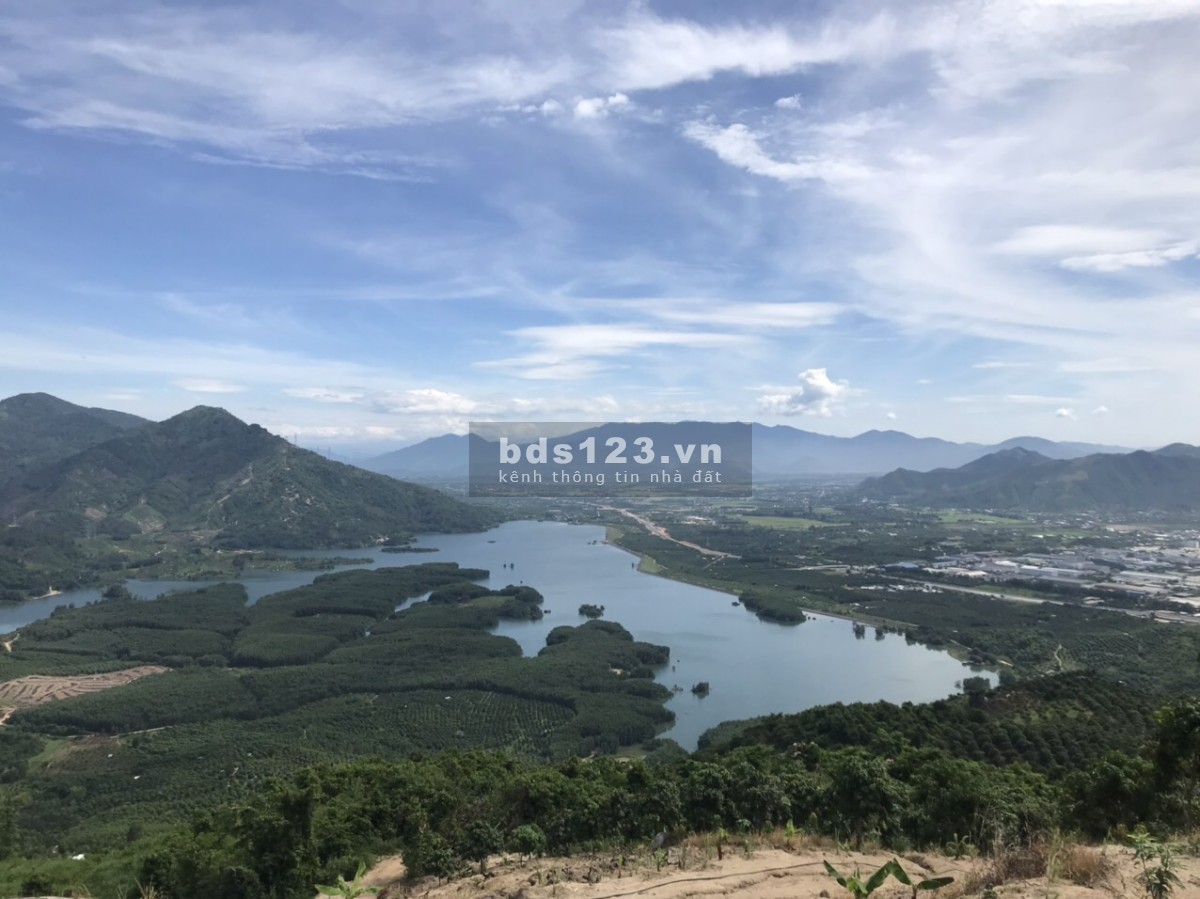 Bán 5ha rẫy Xoài Úc trên núi Suối Tân, tiện làm farm, trồng dược liệu xen canh