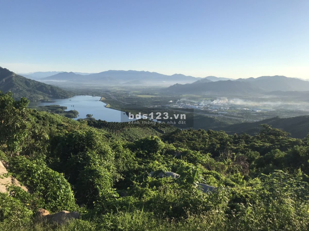 Bán 5ha rẫy Xoài Úc trên núi Suối Tân, tiện làm farm, trồng dược liệu xen canh