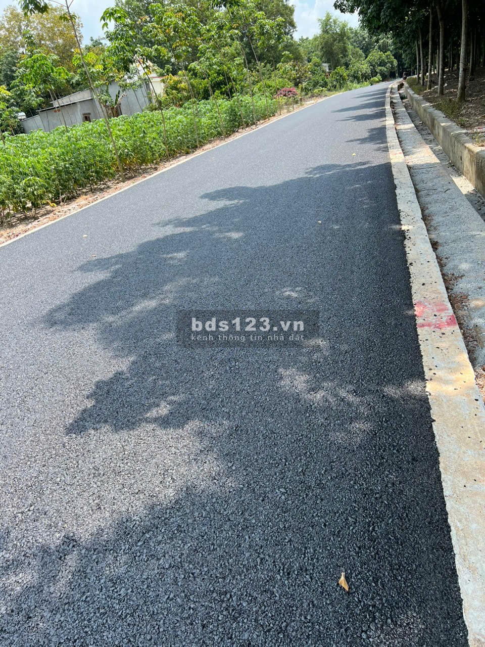 Bán Lô Đất Phú Giáo Giá Rẻ – 3 Triệu/m² Gần Đường DT 741