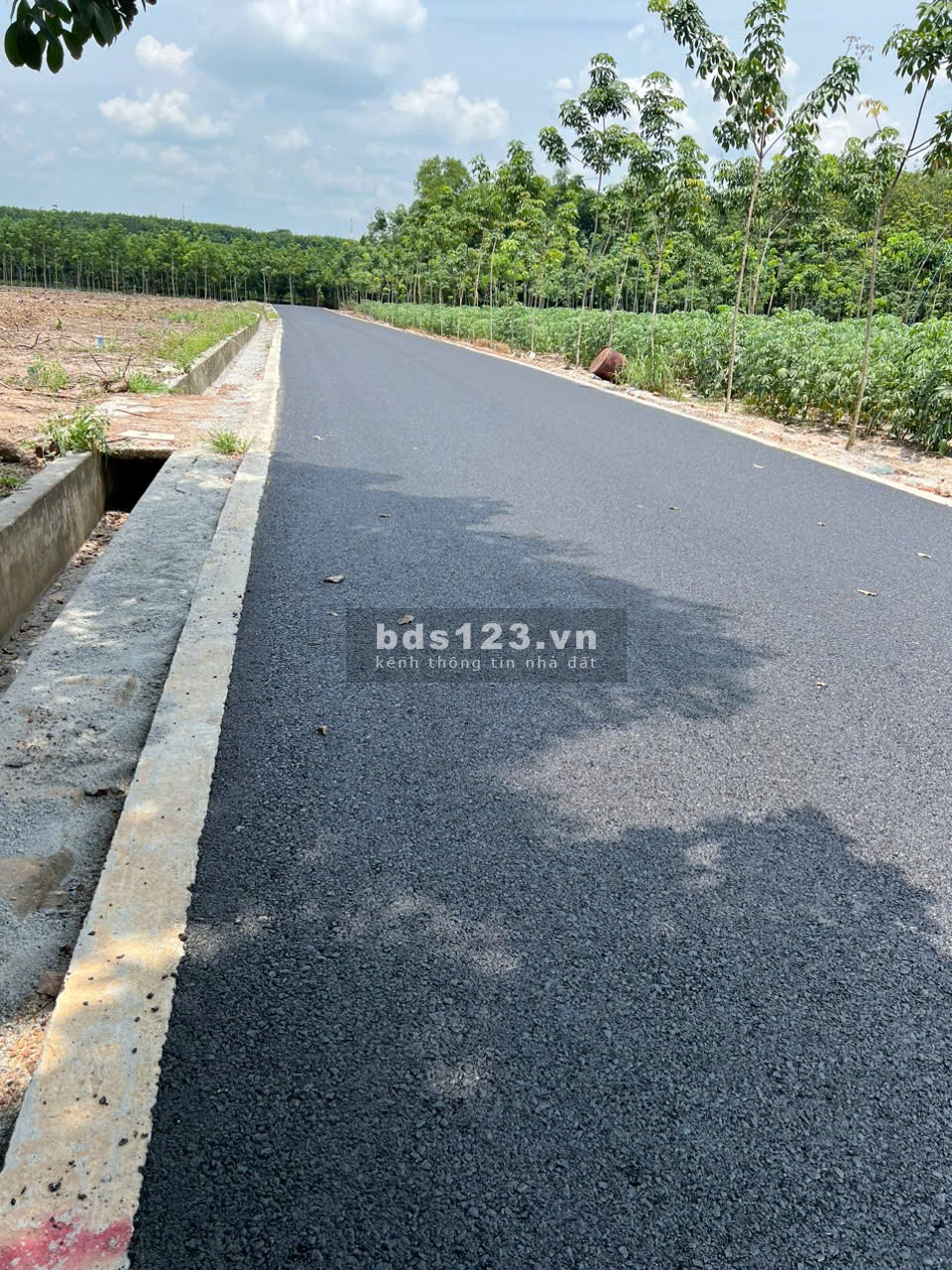 Bán Lô Đất Phú Giáo Giá Rẻ – 3 Triệu/m² Gần Đường DT 741