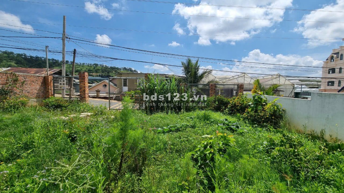 Bán lô đất mặt tiền đường Đa Phú, P7, Đà Lạt 250mv