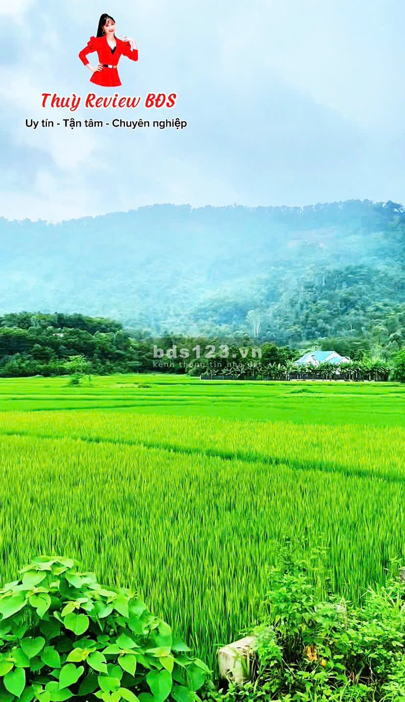 Bán đất Sóc Sơn, sát KHU NGHỈ DƯỠNG 5sao, du lịch HỒ CẦU BÃI, 3tr - THÙY BẮC SƠN