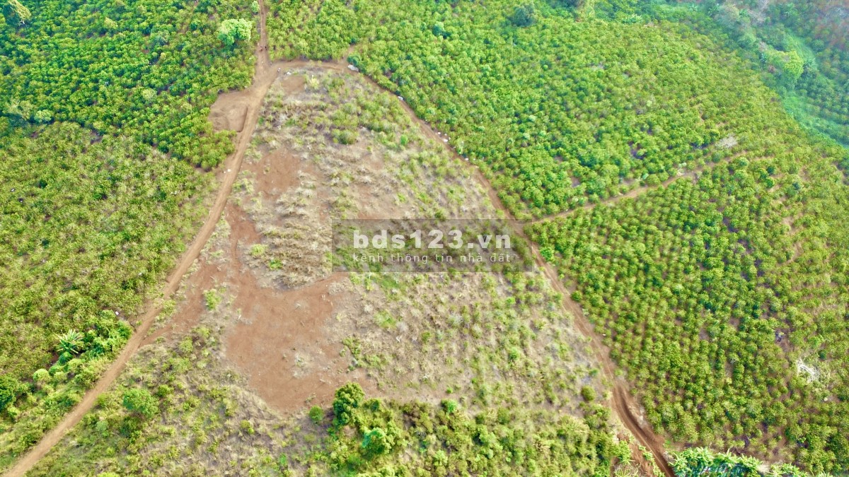 6600m2 đất Tân Thượng 2mt đường ô tô gầm cao giá 130tr/sào