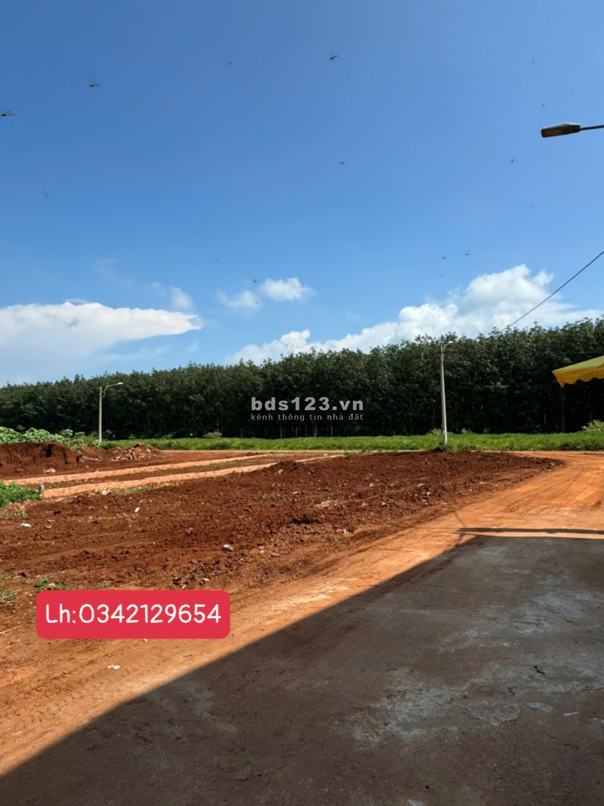 Chính chủ gửi bán vài lô đất ở Khu dân cư Phú Lộc Krông Năng Đắk Lắk GIÁ RẺ
