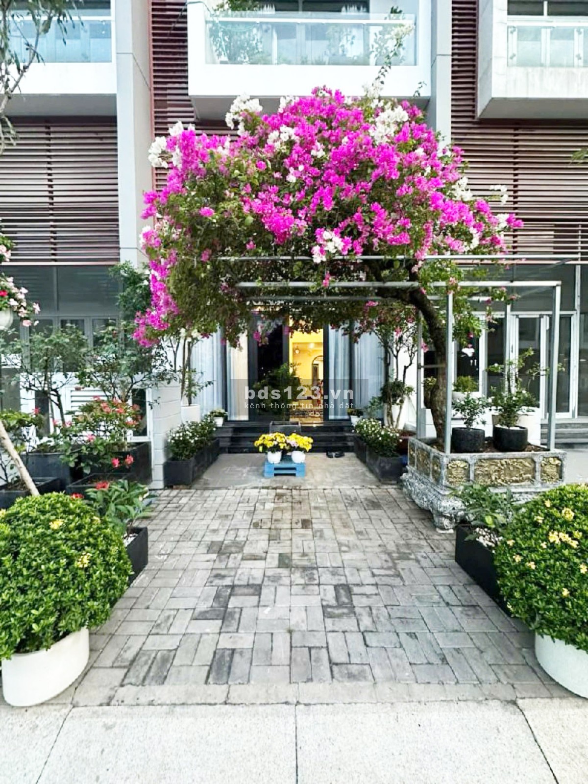 BÁN BIỆT THỰ GIÁ RẺ - TẶNG FULL NỘI THẤT NHẬP KHẨU CAO CẤP HƠN 3 TỶ, P.CÁT LÁI, QUẬN 2 - GIÁ 11.X TỶ