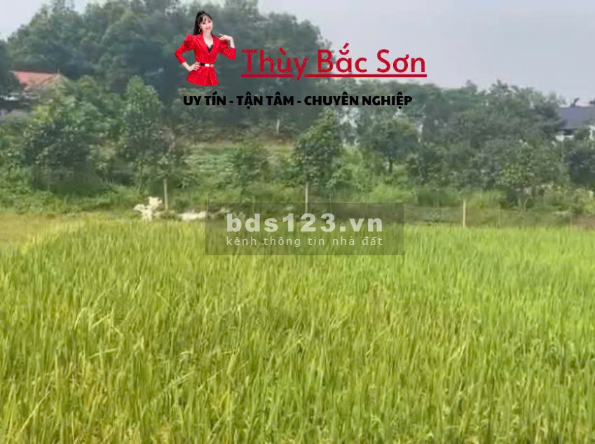 Bán đất Sóc Sơn, đất thổ cư, sẵn sổ, gần vành đai 5, nhỉnh 2tr - THÙY BẮC SƠN