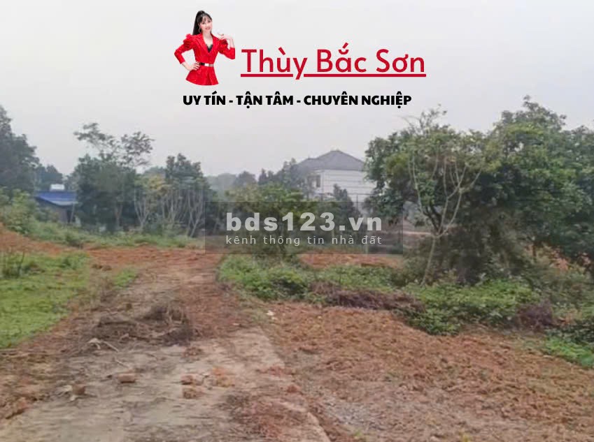 Bán đất Sóc Sơn, đất thổ cư, sẵn sổ, gần vành đai 5, nhỉnh 2tr - THÙY BẮC SƠN