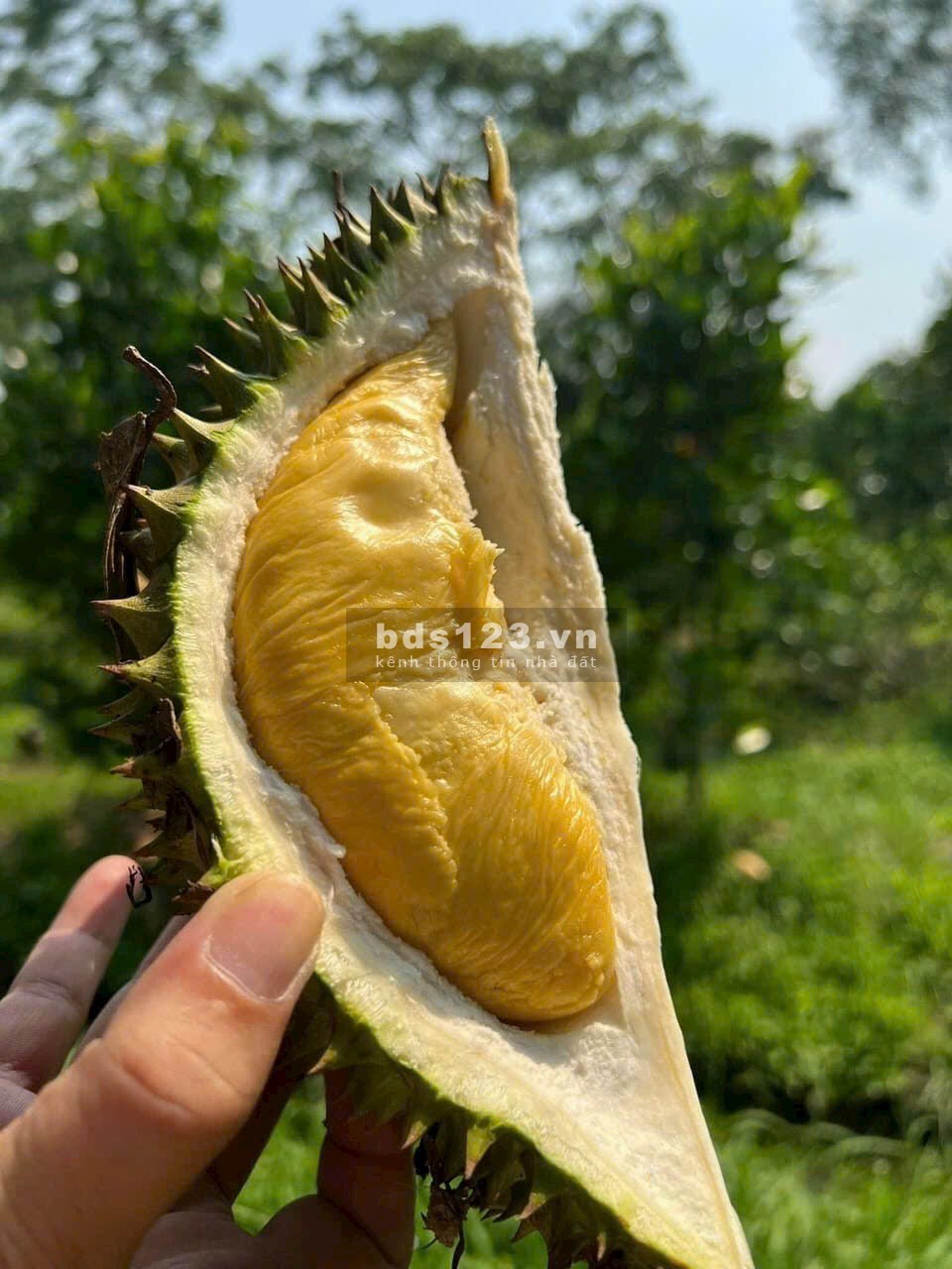 Làng Oa - BDS thuần thiên nhiên tại Bảo Lộc, là nơi an cư lý tưởng của cư dân, an ninh 24/7