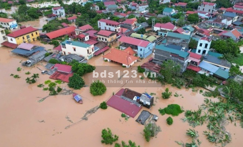 3 suất ngoại giao KĐT ECOPARK - Góp sức chống bão YAGI - Cùng nhau bảo vệ miền Bắc khỏi thiên tai!