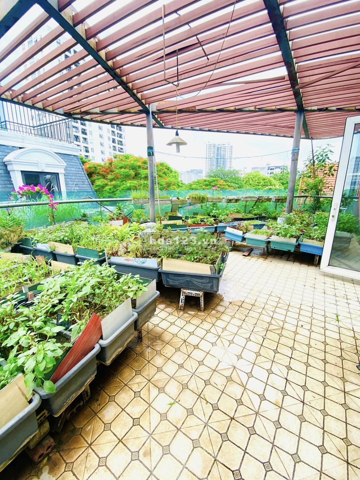CẦN BÁN BIỆT THỰ SÂN VƯỜN ĐẲNG CẤP DỊCH VỌNG CẦU GIẤY 268M 4TẦNG FULL NỘI THẤT 72TỶ