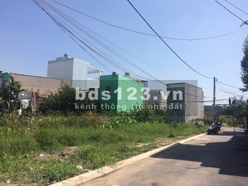 Ông Sáu cần tiền gấp Để chạy thận bán Lỗ nền đất tại thủ thừa Long an