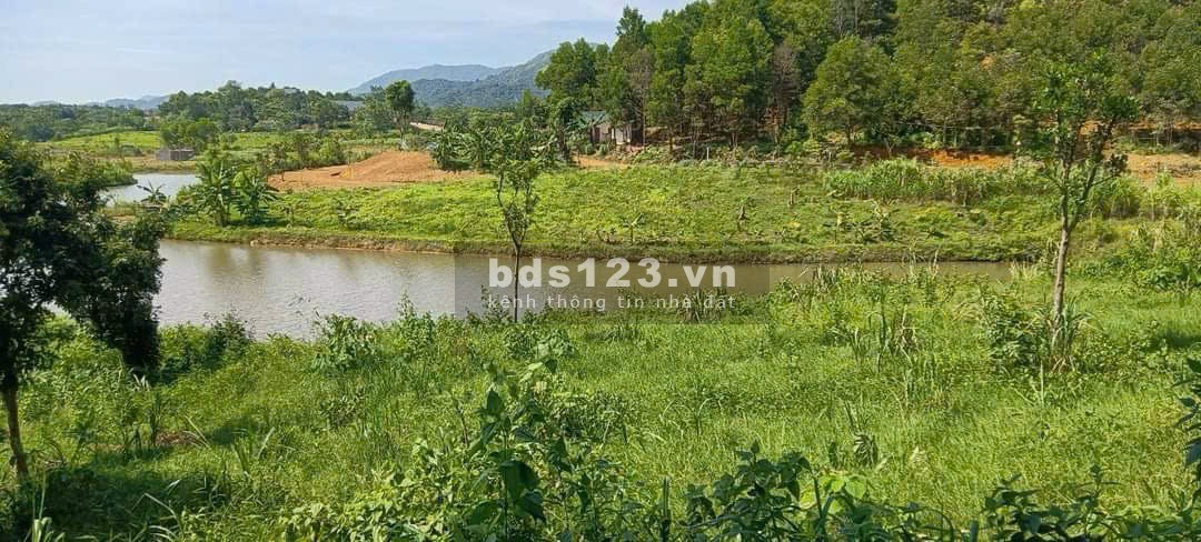 4989 m2 Vị trí đẹp thứ 2 Ba Vì -Yên Bài - Ba Vì - Hà Nội(Giá thương lượng miễn môi giới trung gian)
