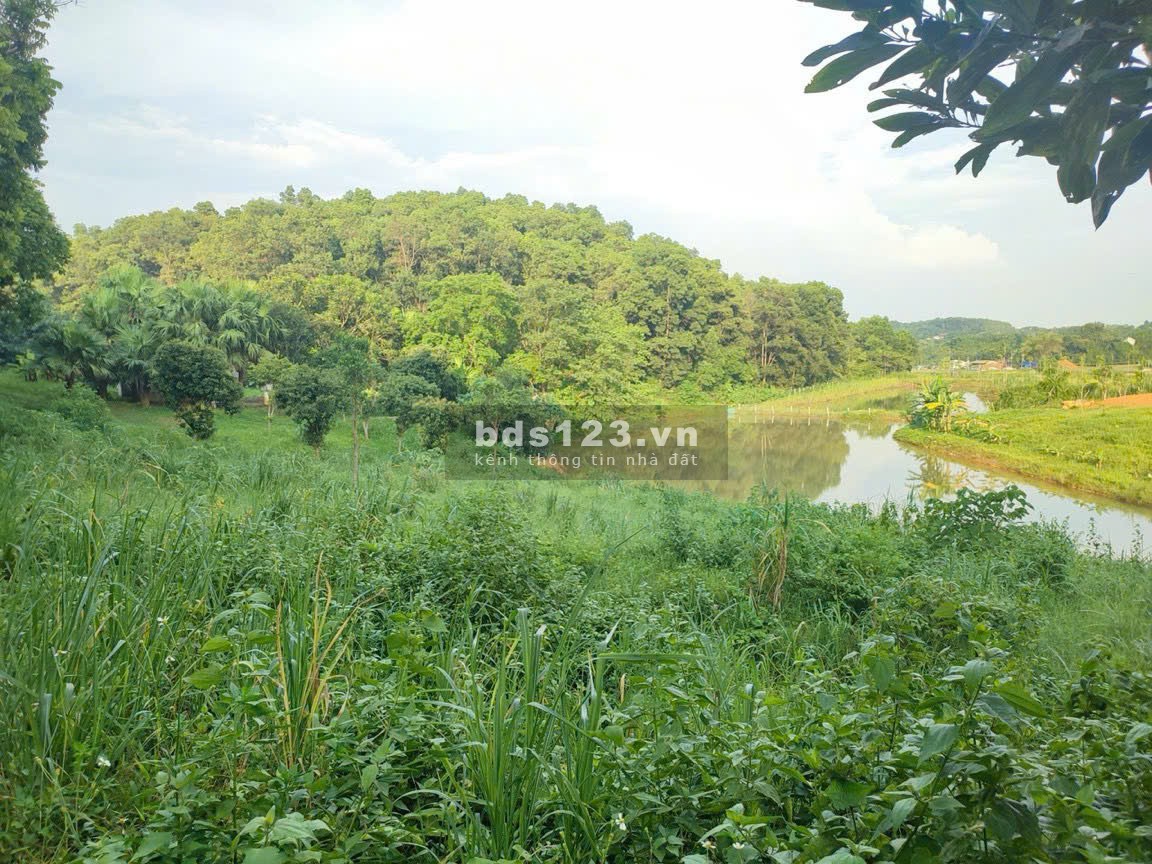 4989 m2 Vị trí đẹp thứ 2 Ba Vì -Yên Bài - Ba Vì - Hà Nội(Giá thương lượng miễn môi giới trung gian)