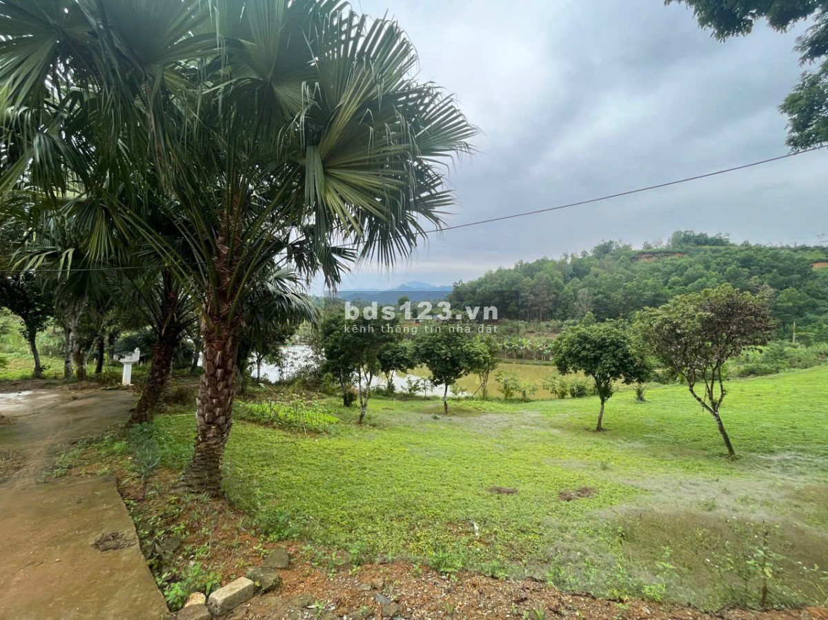 4989 m2 Vị trí đẹp thứ 2 Ba Vì -Yên Bài - Ba Vì - Hà Nội(Giá thương lượng miễn môi giới trung gian)