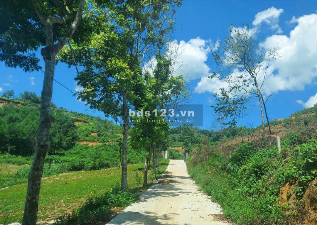 4989 m2 Vị trí đẹp thứ 2 Ba Vì -Yên Bài - Ba Vì - Hà Nội(Giá thương lượng miễn môi giới trung gian)