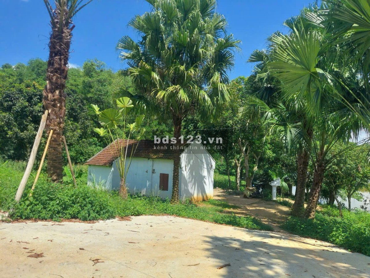 4989 m2 Vị trí đẹp thứ 2 Ba Vì -Yên Bài - Ba Vì - Hà Nội(Giá thương lượng miễn môi giới trung gian)
