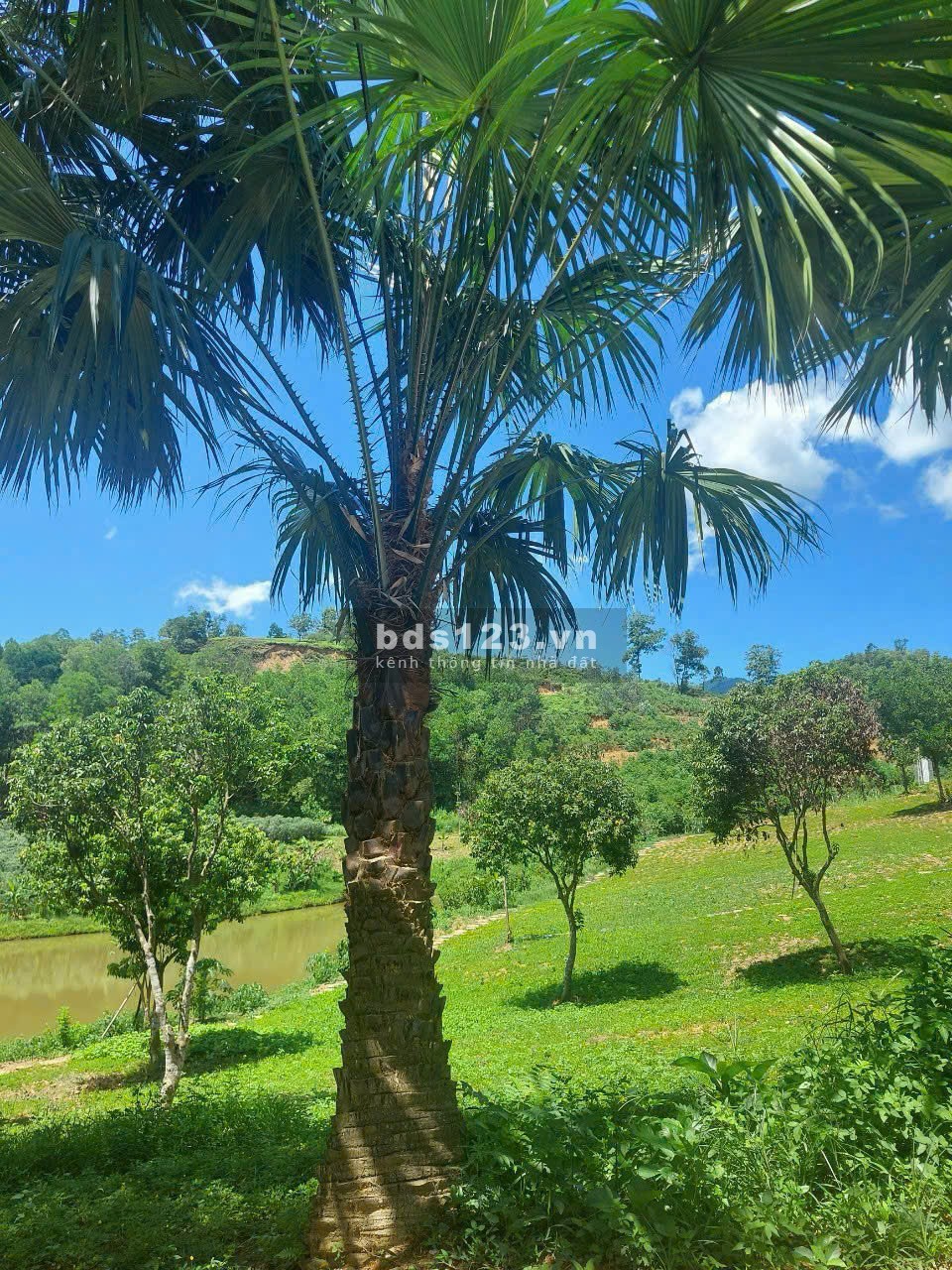4989 m2 Vị trí đẹp thứ 2 Ba Vì -Yên Bài - Ba Vì - Hà Nội(Giá thương lượng miễn môi giới trung gian)