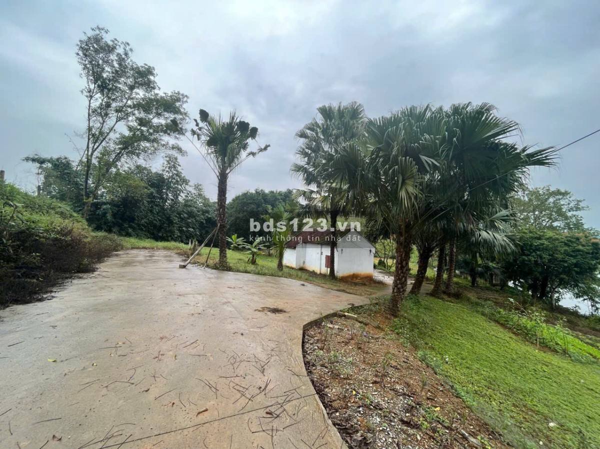 4989 m2 Vị trí đẹp thứ 2 Ba Vì -Yên Bài - Ba Vì - Hà Nội(Giá thương lượng miễn môi giới trung gian)