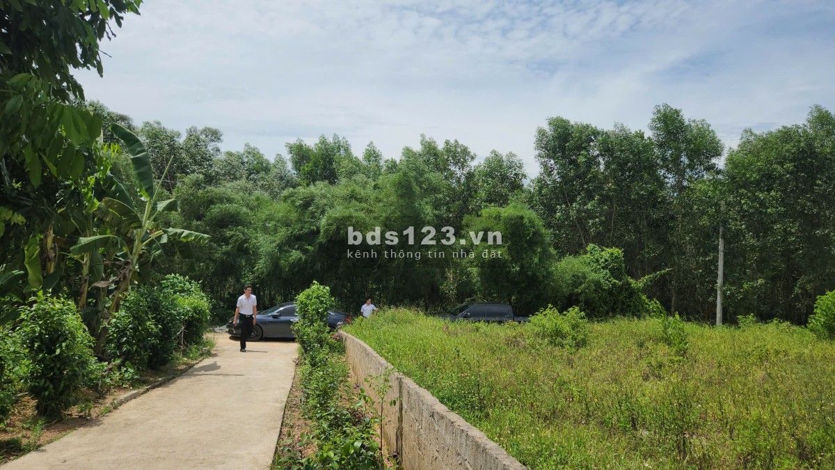 Bán đất giá rẻ tại Thị Xã Quảng Trị,