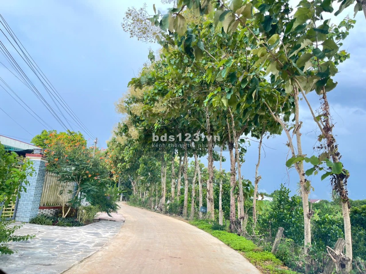 Bán Đất Nhà Ở Khu Vực Đồng nai – Cơ Hội đầu tư và an cư lý tưởng