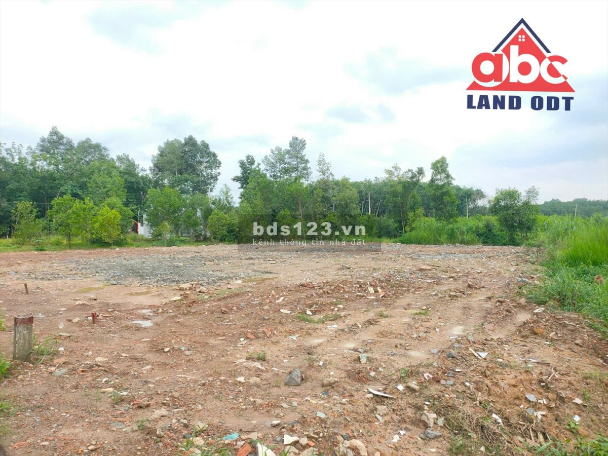 Bán đất mặt tiền đường ấp tân thịnh 4400m2 giá chỉ 4ty840 sổ riêng, xã đồi 61 trảng bom Đồng nai