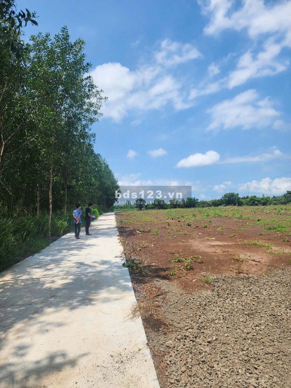 Cần bán nhanh lô đất 198m2 mặt tiền đường nhựa SHR tại xã Phước Long Thọ huyện Đất Đỏ