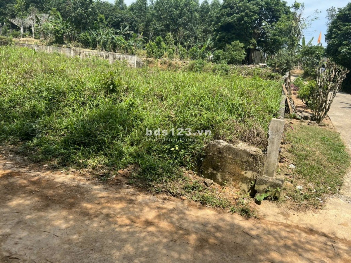 Bất động sản giá tốt nhất tại Thị Xã Quảng Trị. pháp lý rõ ràng, giá chỉ 190tr.
