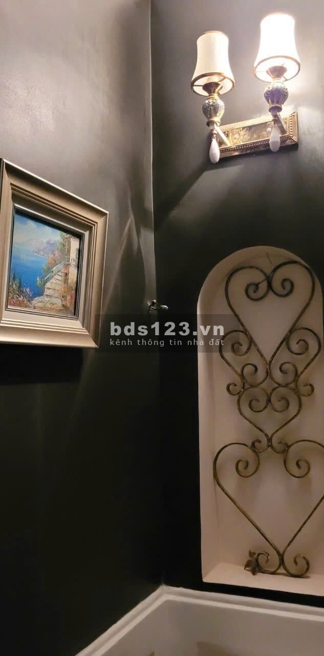 BÁN NHÀ - BIỆT THỰ PHÁP MINI SIÊU ĐẸP, 36M2, QUẬN 1 - CHỈ HƠN 4 TỶ