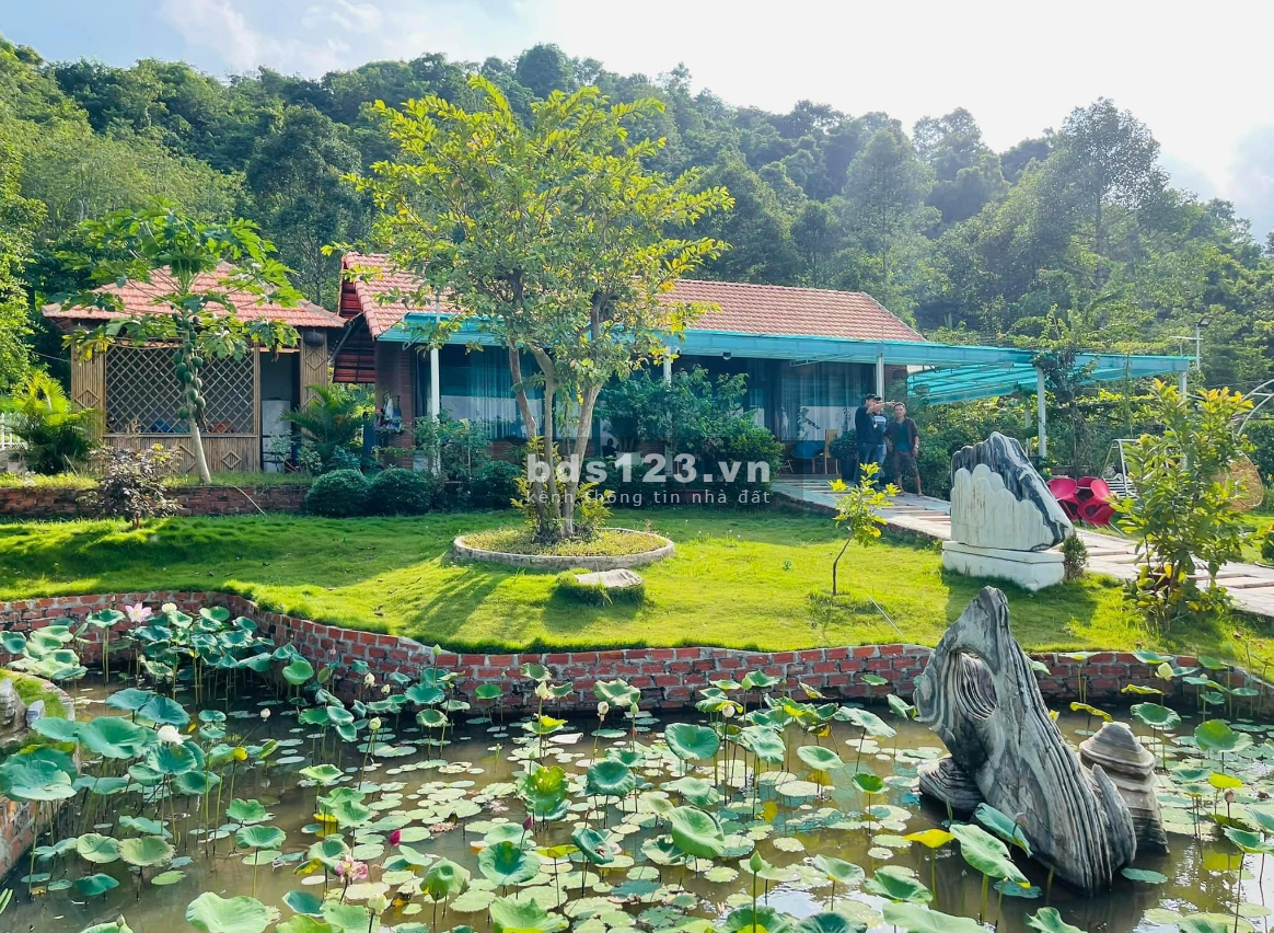 Đất farm ngay trung tâm La Ngà, có thổ cư, chỉ 250tr sở hữu ngay tại Phú Ngọc, Định Quán