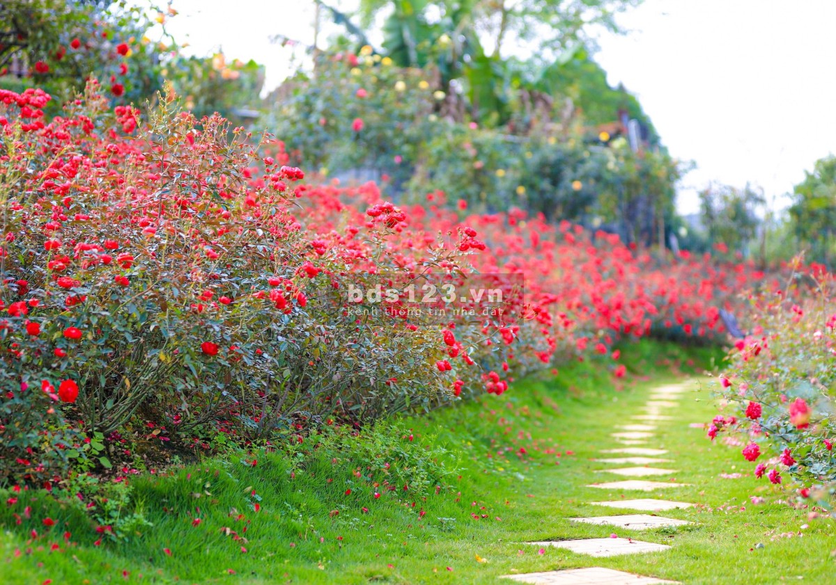Đất farm ngay trung tâm La Ngà, có thổ cư, chỉ 250tr sở hữu ngay tại Phú Ngọc, Định Quán