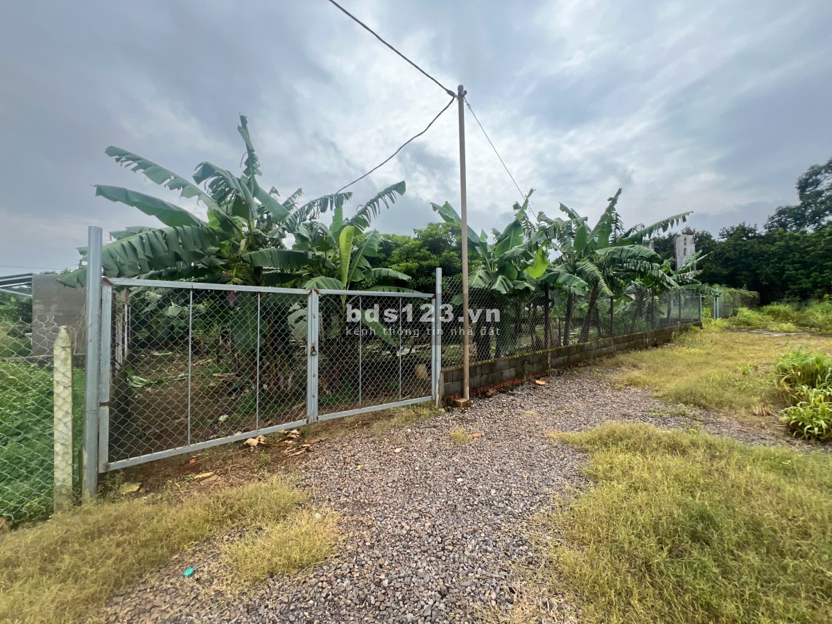 Cần ra đi 1000-5000m2 Đất Vườn gần khu vực Đồng Nai GIÁ MỀM, Sổ Hồng Chuẩn Pháp Lý