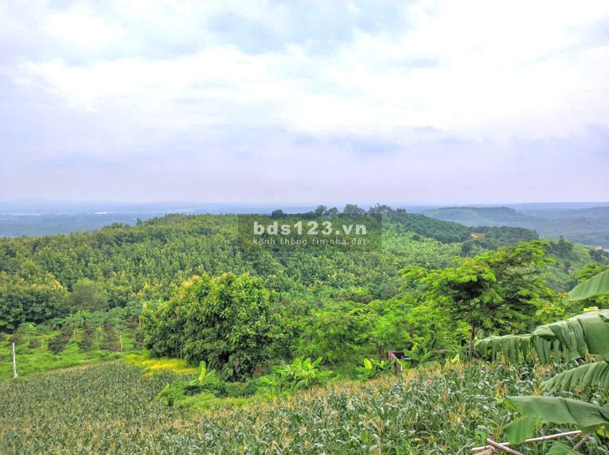 Đất farm ngay trung tâm La Ngà, có thổ cư, chỉ 250tr sở hữu ngay tại Phú Ngọc, Định Quán